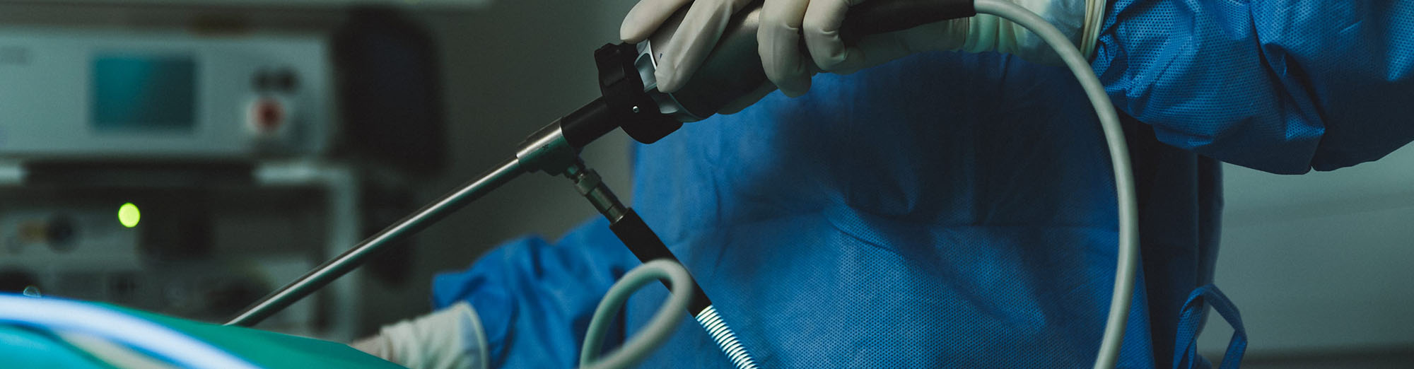 Keyhole Spay and Surgery near Canterbury, and Dover