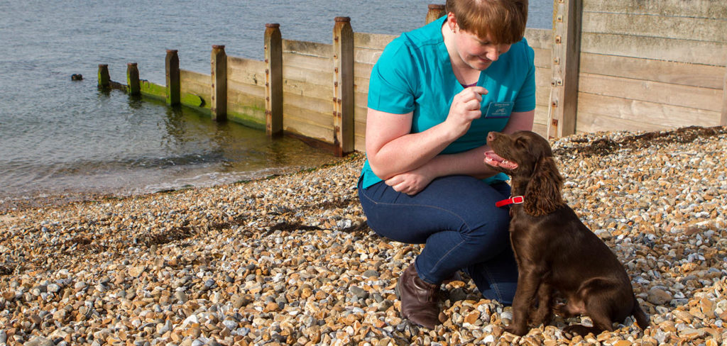 Charlie with dog and vet Claire enjoying Deal Beach