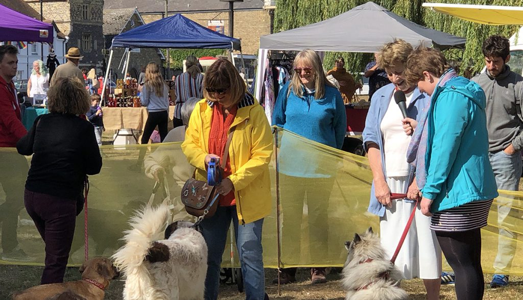 Vet Claire speaking to some of the entries at the Sandwich Dog Show