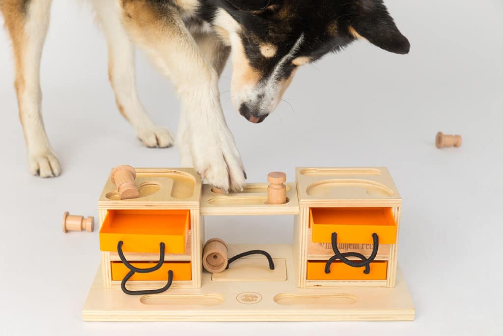Keeping dogs entertained with food puzzels