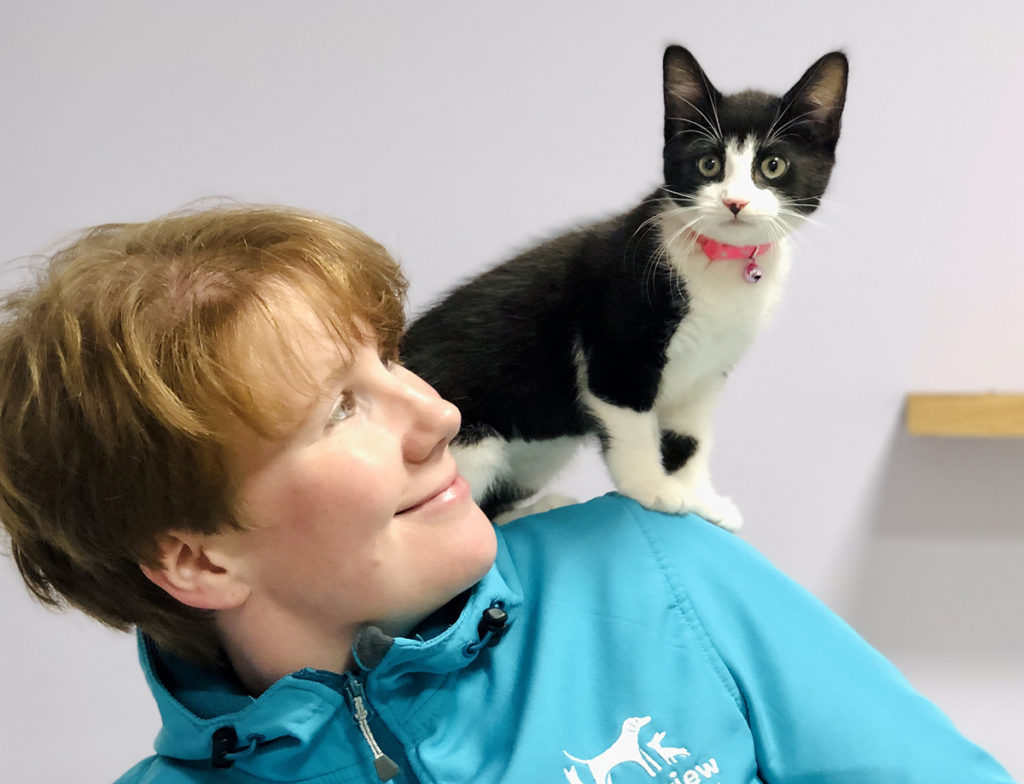 Cat on vets shoulder in Deal, Kent