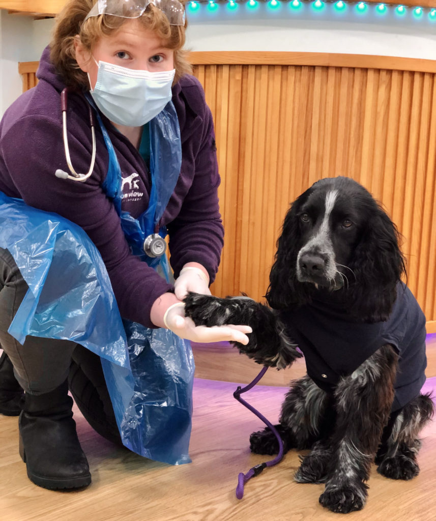Vet Claire with Jack after surgery