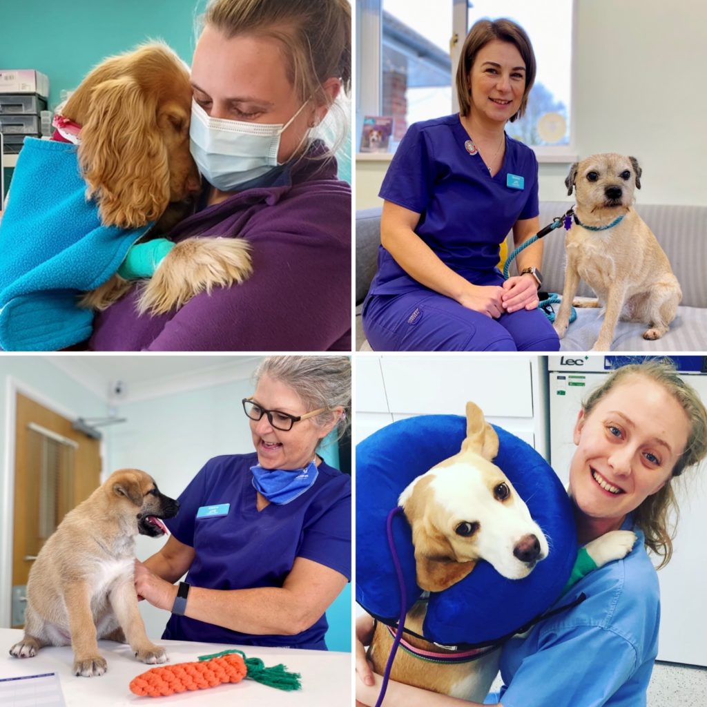 Our Veterinary Nurses | Beacon View Vets